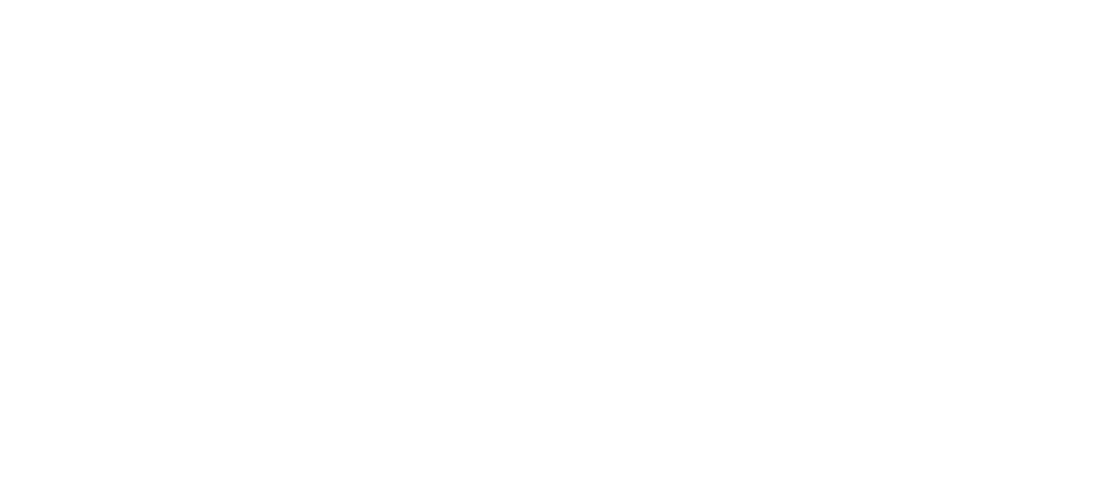التطوير الشامل